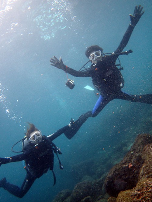 八重根の海を楽しみながら潜れたり