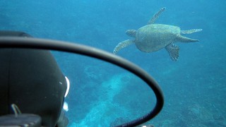 青空次第に多くもなる八丈島、うねりはあるが底土で体験ダイビング