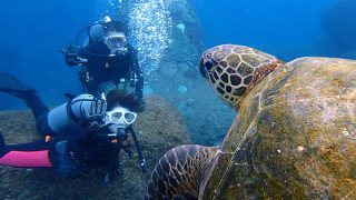 明るい曇りの八丈島、うねりもあるが底土で体験ダイビング