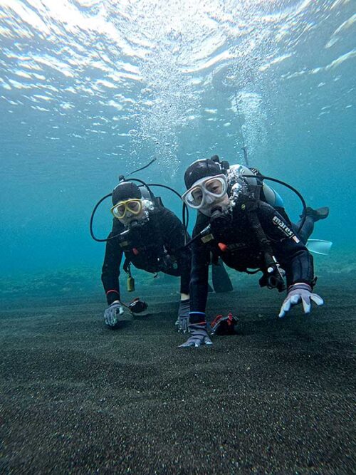 のんびり浅場を泳いでまわり