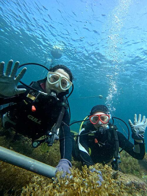 浅いところで海に慣れて頂いて