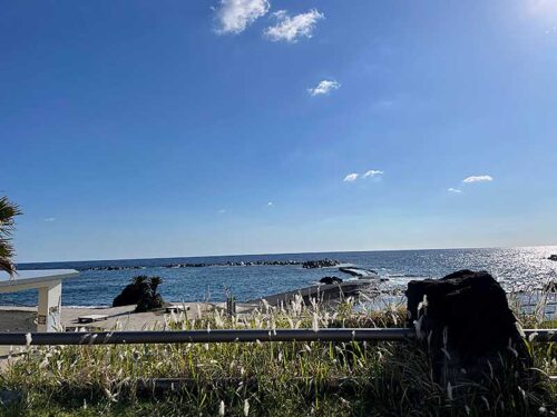 朝の底土