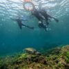 暑さも感じる八丈島、少しうねりはあるが八重根で【シュノーケリング】