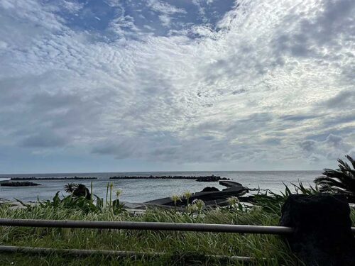 朝の底土