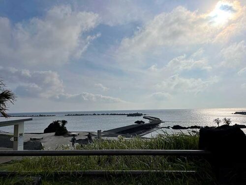 朝の底土