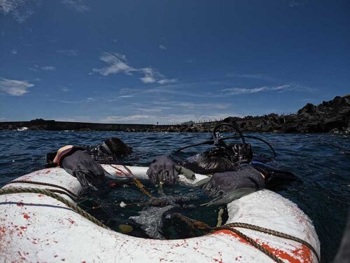 浮き輪に掴まり色々練習していって