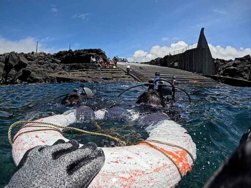 浮き輪に掴まり海に慣れ