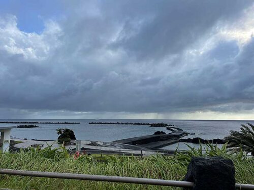 朝の底土