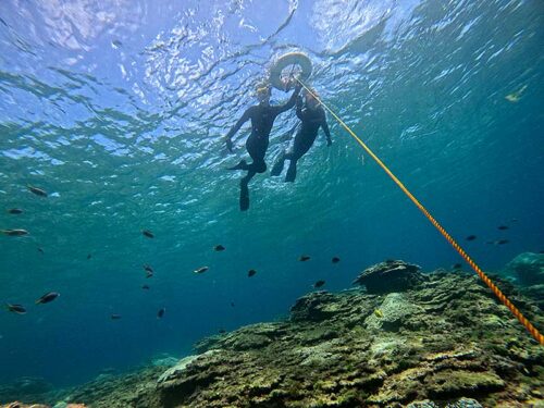 魚も見ながらのんびり泳いで戻ってきて