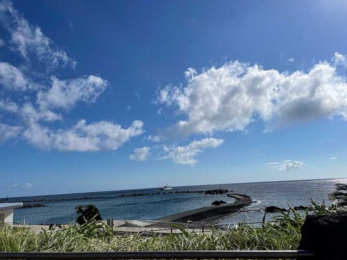 朝の底土