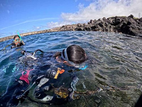 手前のところでササっと海に慣れて頂き