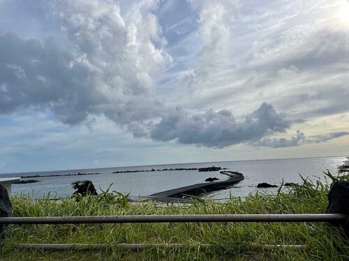 朝の底土