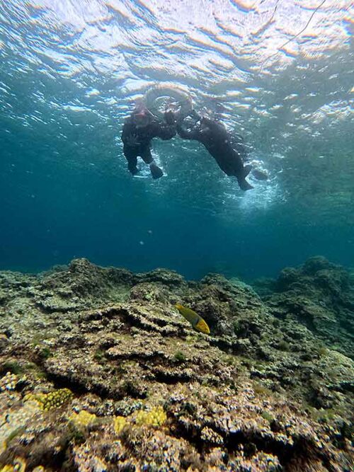 魚も見ながらちょっと沖まで泳いでいって