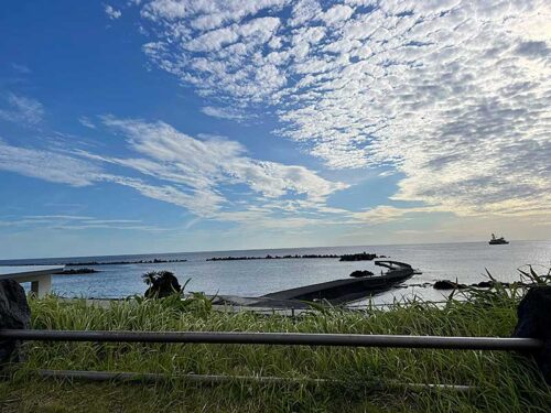 朝の底土