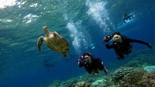 暑さは続く八丈島、概ね落ち着いていた底土で【体験ダイビング】