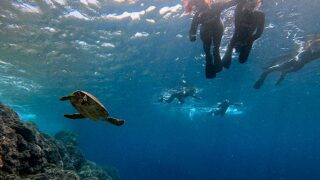 少し雲は増えてた八丈島、穏やかな八重根で【シュノーケリング】