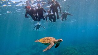 青空広がる八丈島、落ち着いていた八重根で【シュノーケリング】