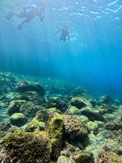 色々見ながら八重根の海で過ごしていって