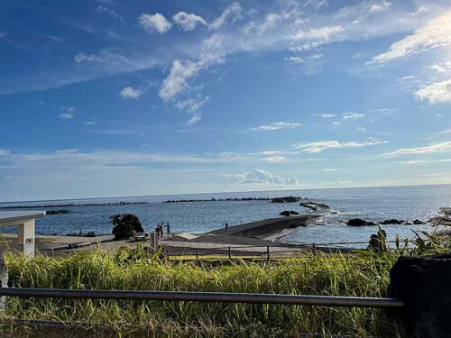 朝の底土