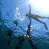 暑さは増してた八丈島、うねりはあるが八重根で【シュノーケリング】