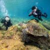 青空広がる八丈島、ナズマドとタイドプールと八重根で【体験ダイビング】