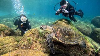 青空広がる八丈島、ナズマドとタイドプールと八重根で【体験ダイビング】