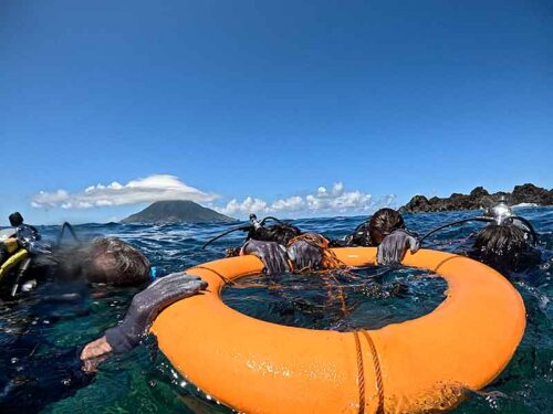 浮き輪に掴まりササっと海に慣れていき