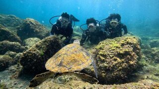 南風吹く八丈島、タイドプールと八重根で【体験ダイビング】