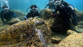 雲は増えてた八丈島、タイドプールと八重根で【体験ダイビング】