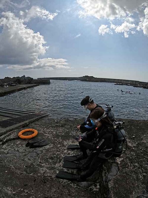 若干うねりはあるが八重根の海へ行きまして