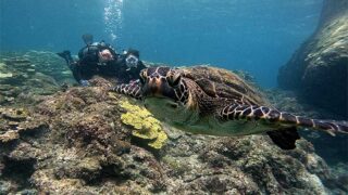 日差しは強い八丈島、若干うねりは残るが底土で【体験ダイビング】