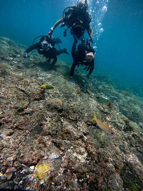 魚も見ながらちょっと泳いで行きまして