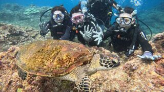 青空見られた八丈島、若干うねりはあるが底土で【体験ダイビング】