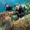 青空多めな八丈島、少し水面パシャつくが八重根で【体験ダイビング】