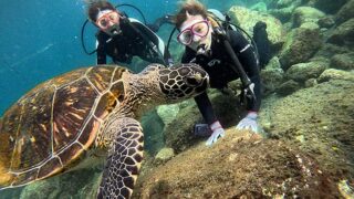 青空多めな八丈島、少し水面パシャつくが八重根で【体験ダイビング】