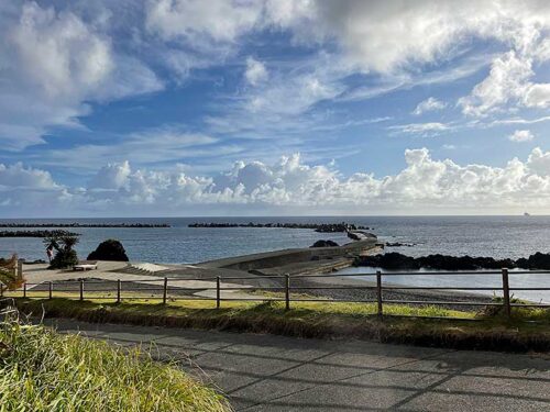 朝の底土