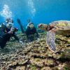 概ね晴れてた八丈島、若干うねりはあるが底土で【体験ダイビング】