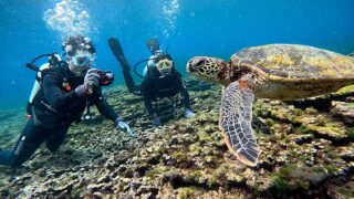 概ね晴れてた八丈島、若干うねりはあるが底土で【体験ダイビング】