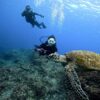 雲は広がる八丈島、うねりはあるが底土で【体験ダイビング】