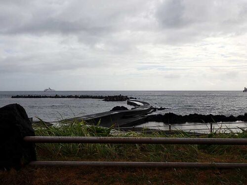 朝の底土