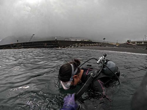 手前の浅場で海に慣れて頂いて