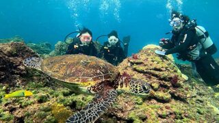 青空見えてた八丈島、うねりはあるが底土で【体験ダイビング】