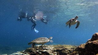 暑さは続く八丈島、若干うねりはあるが底土で【シュノーケリング】