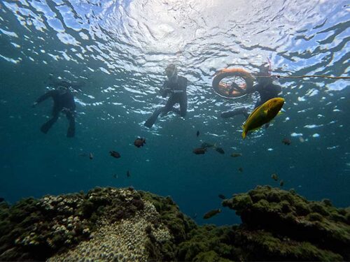 魚も見ながらのんびり過ごし