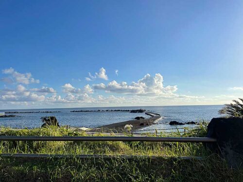 朝の底土