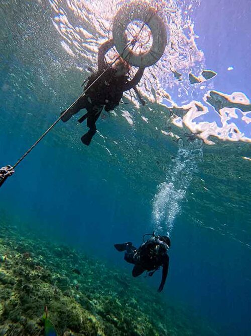 浮き輪に掴まり潜れる人は潜りつつ周って行って