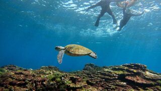 雲は多めな八丈島、若干うねりはあるが底土で【シュノーケリング】