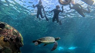 風は弱めな八丈島、概ね落ち着いていた底土で【シュノーケリング】