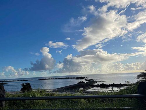 朝の底土