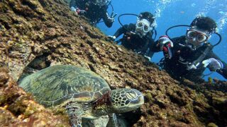 青空広がる八丈島、うねりはあるが底土で【体験ダイビング】